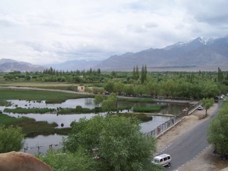 leh-view-from-shey1